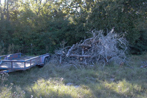 Insert thumbnail brushpile_number05_2010_10_30_173926_300x200.jpg.